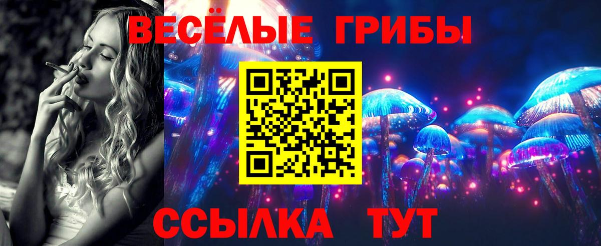 цены наркотик  Вход с VPN  Кольчугино  Псилоцибиновые грибы Magic Shrooms 