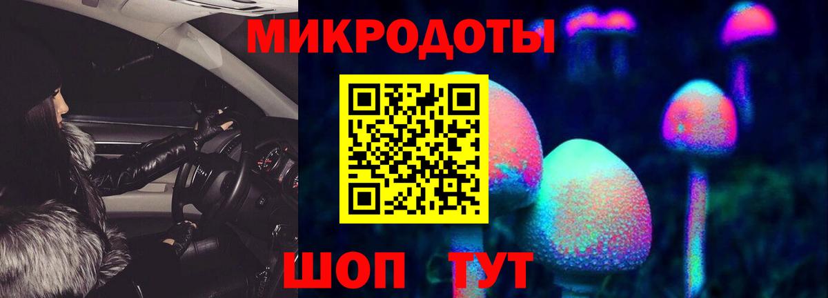 Галлюциногенные грибы GOLDEN TEACHER Кольчугино